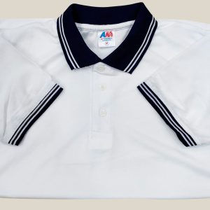 মেশ পোলো-12