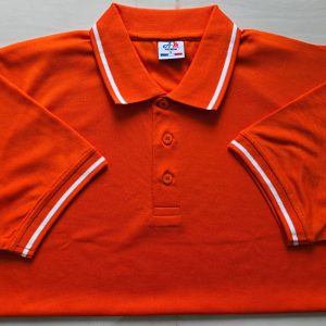 লাকস্ট পোলো-13