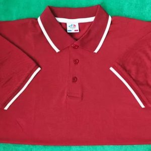 লাকস্ট পোলো-15