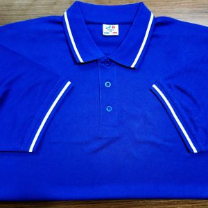 লাকস্ট পোলো-2