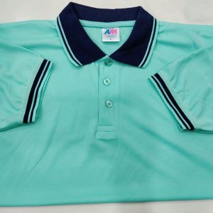 মেশ পোলো-2