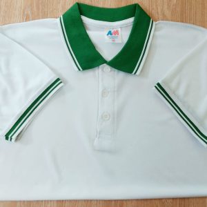 মেশ পোলো-3