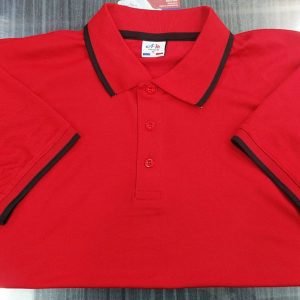 লাকস্ট পোলো-4