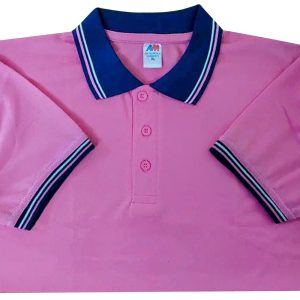 মেশ পোলো-4