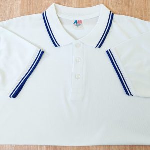 মেশ পোলো-5