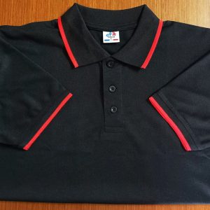 লাকস্ট পোলো-6