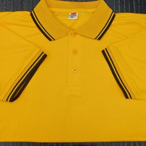 মেশ পোলো-6