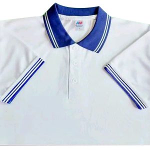 মেশ পোলো-8