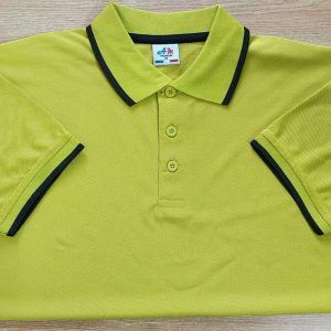 লাকস্ট পোলো-9