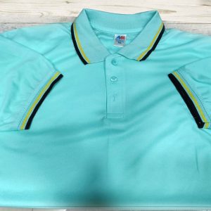 মেশ পোলো-9