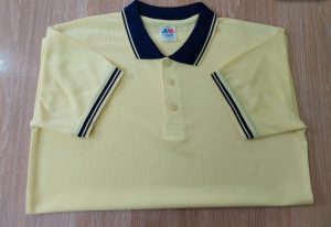 মেশ পোলো-11