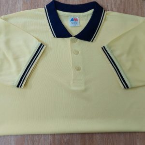 মেশ পোলো-11