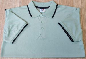 লাকস্ট পোলো-12