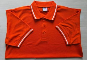 লাকস্ট পোলো-13