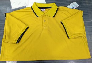 লাকস্ট পোলো-14