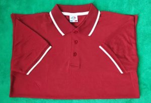 লাকস্ট পোলো-15