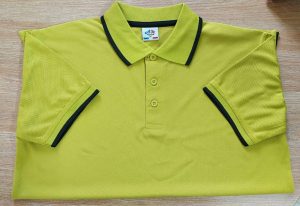 লাকস্ট পোলো-9